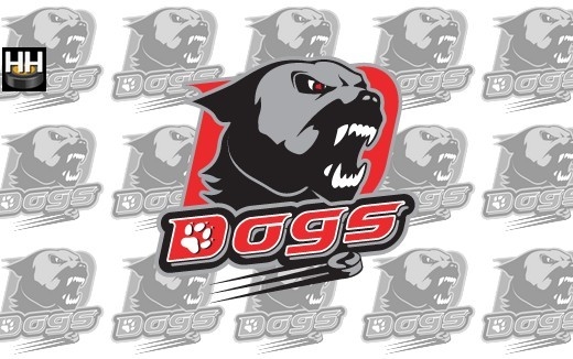 Photo hockey CHOLET - Le programme de préparation - Division 1 : Cholet  (Les Dogs)