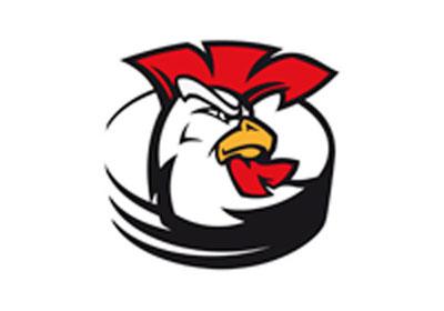 Photo hockey Courbevoie fête ses 40 ans  - Division 1 : Courbevoie  (Les Coqs)