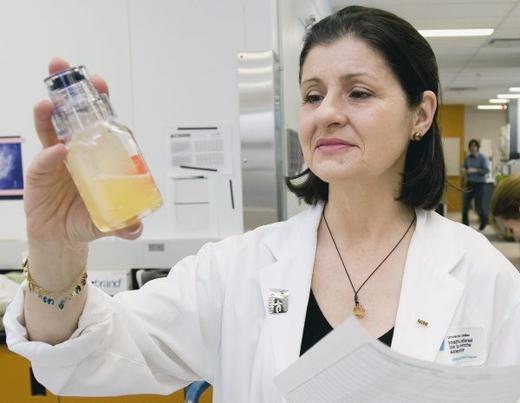 Photo hockey Créatine : l