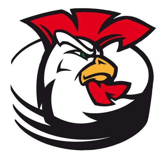 Photo hockey D1 : Courbevoie sanctionné - Division 1 : Courbevoie  (Les Coqs)