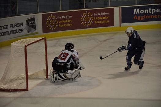 Photo hockey  D1 : Effectif bouclé chez les Vipers - Division 1 : Montpellier  (Les Vipers)