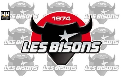 Photo hockey D1 : Un départ à Neuilly - Division 1 : Neuilly/Marne (Les Bisons)