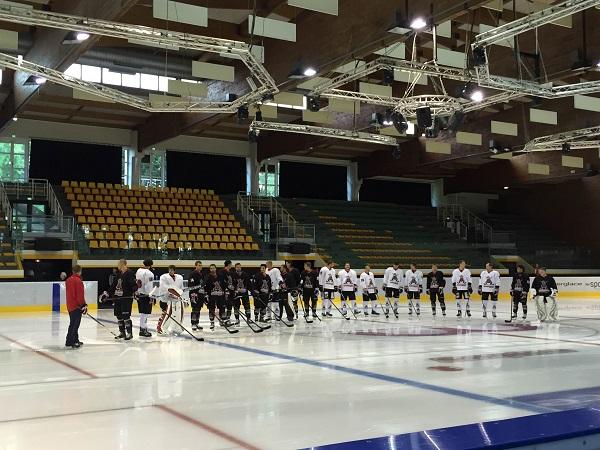 Photo hockey D1 : Une belle soirée à Mulhouse - Division 1 : Mulhouse (Les Scorpions)