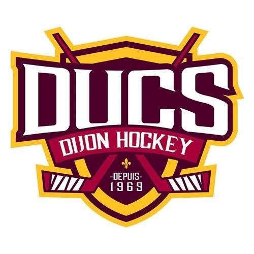 Photo hockey D2 : FV Paris - Dijon reporté - Division 2