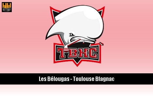 Photo hockey D2 : Une arrivée à Toulouse/Blagnac -  : Toulouse-Blagnac (Les Belougas)
