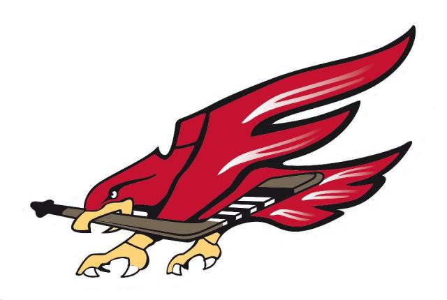 Photo hockey D3 : Besançon recrute ! - Division 3 : Besançon (Les Aigles)