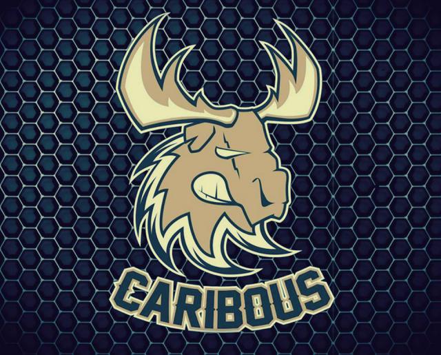 Photo hockey D3 : Les Caribous toujours en galère - Division 3 : Dammarie-les-Lys (Les Caribous)