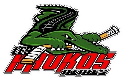 Photo hockey D3 : Les Krokos de Nîmes recrutent - Division 3 : Nimes (Les Krokos)