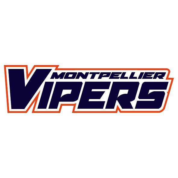 Photo hockey D3 : Montpellier privé de playoffs - Division 3 : Montpellier  (Les Vipers)