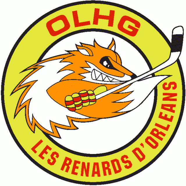 Photo hockey D3 : Nouveau site pour Orléans - Division 3 : Orléans (Les Renards)