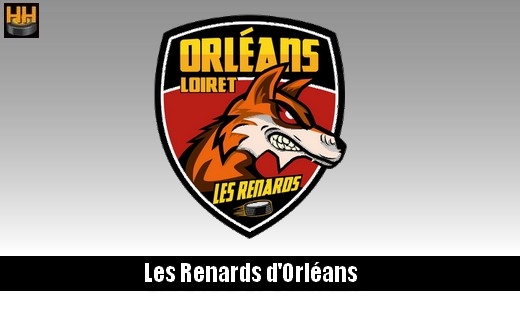 Photo hockey D3 : Orléans recherche 1 gardien et 2 défenseurs - Division 3 : Orléans (Les Renards)