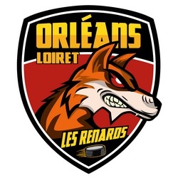 Photo hockey D3 - Orléans recrute joueurs - Division 3 : Orléans (Les Renards)