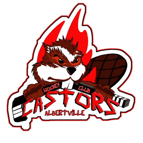 Photo hockey D3: Albertville recrute - Transferts Archives 2017 à 2025