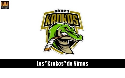 Photo hockey D3 Nîmes recherche 1 attaquant et 1 défenseur ! - Division 3 : Nimes (Les Krokos)