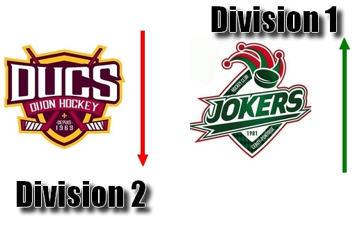 Photo hockey Décision bureau directeur fédéral - Hockey en France