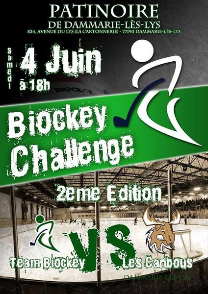Photo hockey Dammarie : Challenge Biockey 2ème édition    - Division 3 : Dammarie-les-Lys (Les Caribous)
