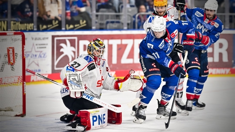 Photo hockey DEL : L