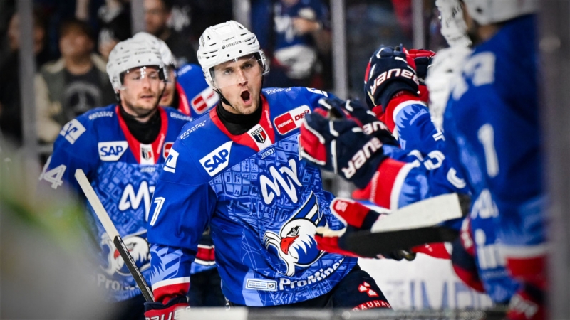 Photo hockey DEL : L