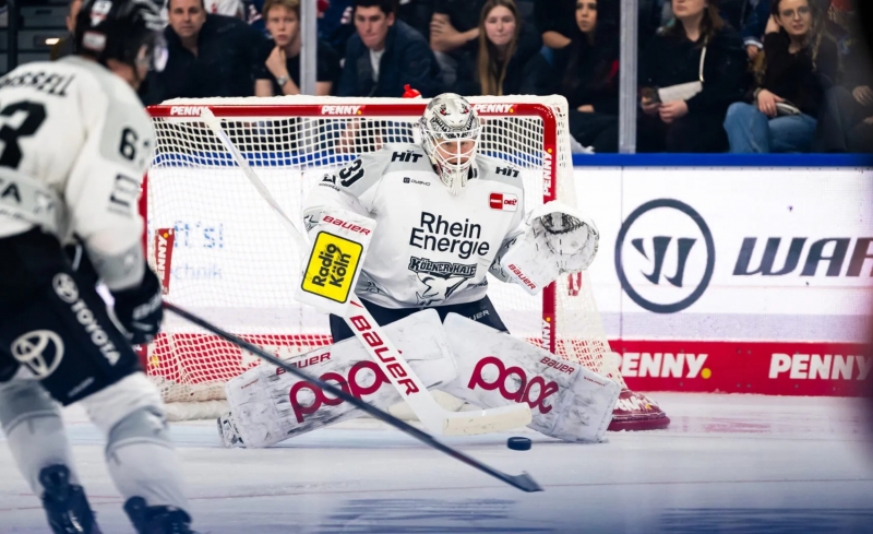 Photo hockey DEL : L