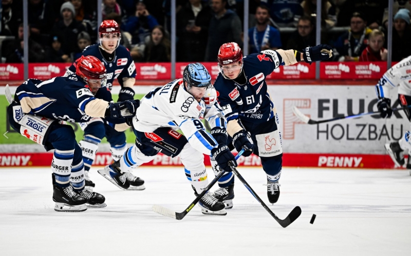 Photo hockey DEL : Le champion de retour ! - Hockey en Europe