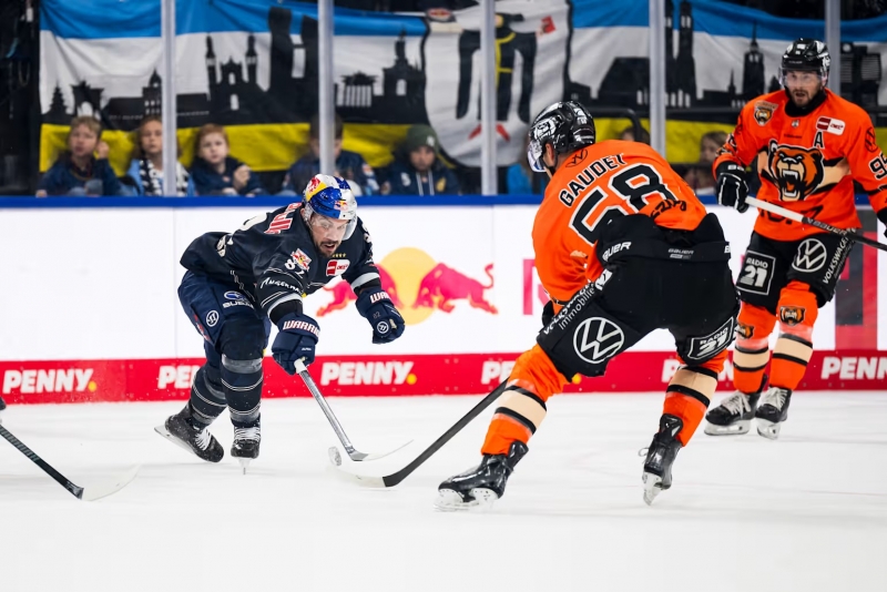 Photo hockey DEL : Les Grizzlys grognent - Hockey en Europe