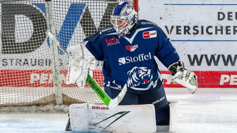 Photo hockey DEL : Les tigres s