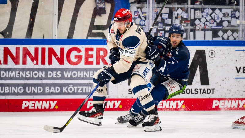 Photo hockey DEL : Nouvelle pole position - Hockey en Europe