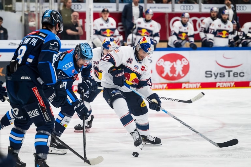 Photo hockey DEL : Ours blancs, taureaux rouges - Hockey en Europe
