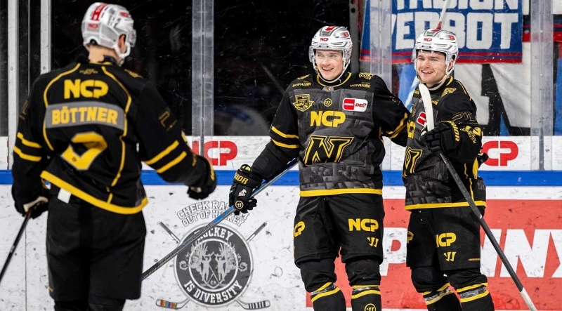 Photo hockey DEL : Un tigre chasse l