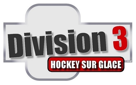 Photo hockey Division 3 : Résultats des 06 & 07 janvier 2018 - Division 3