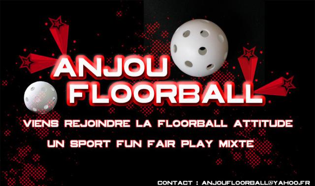 Photo hockey Du Floorball à Angers - Autour du hockey
