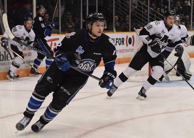 Photo hockey Finale LHJMQ : les Sea Dogs blanchissent l