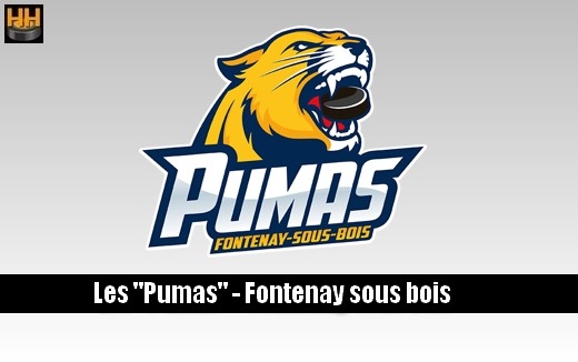 Photo hockey Fontenay recrute son Entraineur Général - Division 3 : Fontenay sous Bois (Les Pumas)
