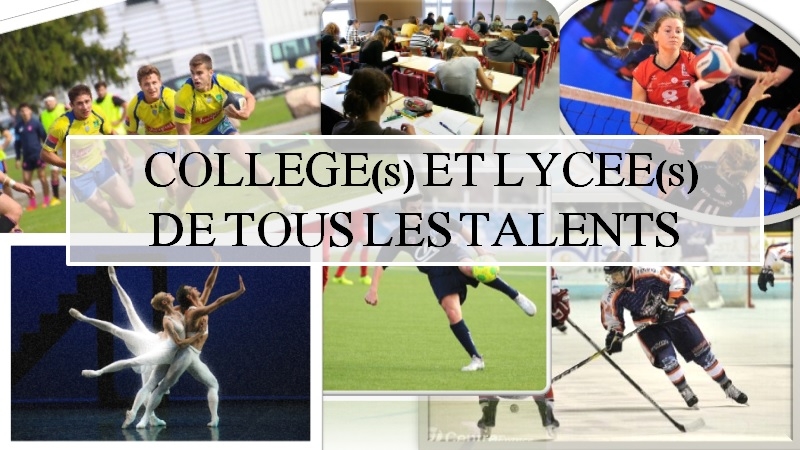 Photo hockey Formation et recrutement à Clermont - Hockey Mineur : Clermont-Ferrand (Les Sangliers Arvernes)