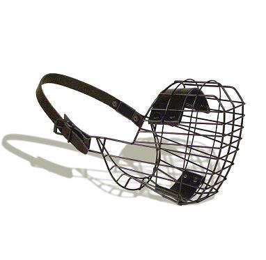 Photo hockey Genève: canibal is legal! - Suisse - Divers