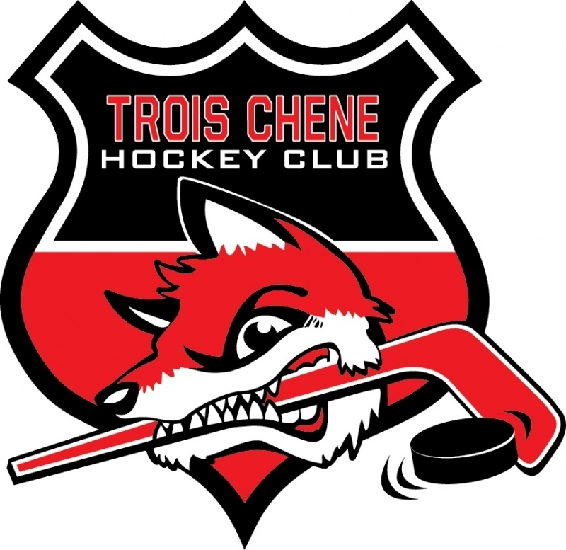 Photo hockey HC3C - Décembre 2019 - Suisse - Divers