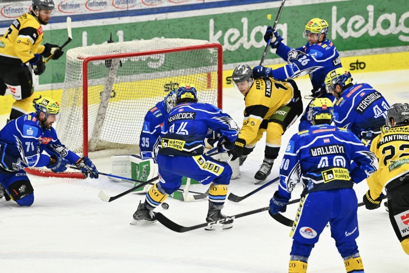Photo hockey ICEHL : Rusé comme un renard - Hockey en Europe
