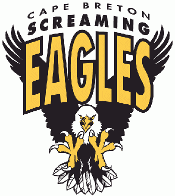 Photo hockey J. F. David rebondit à Cap-Breton - Hockey dans le Monde