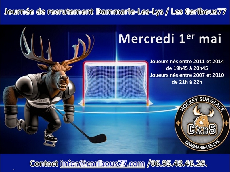 Photo hockey Journée de recrutement à Dammarie-Les-Lys  - Hockey Mineur