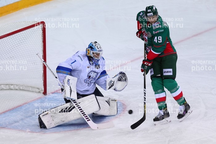 Photo hockey KHL : Derby des félidés - KHL - Kontinental Hockey League