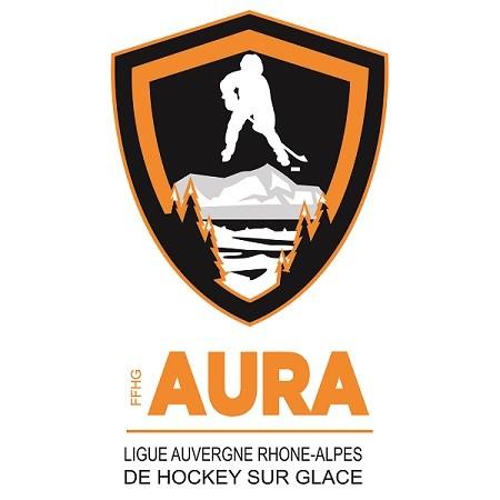 Photo hockey La Ligue Auvergne Rhône Alpes recrute un Assistant Technique Fédéral  - Hockey en France