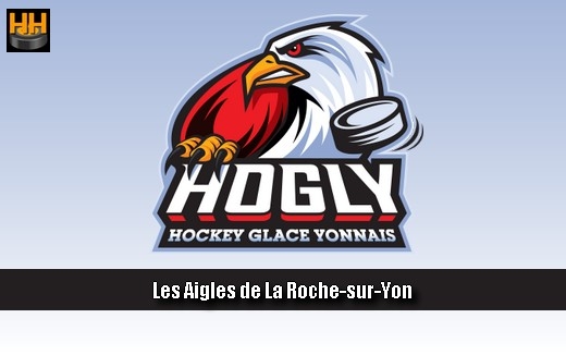 Photo hockey La Roche défenseurs U20 / D3 - Division 3 : La Roche-sur-Yon (Les Aigles)