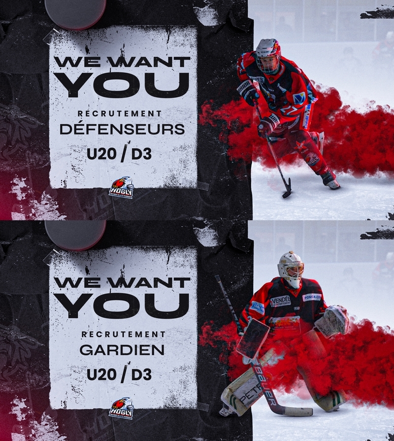 Photo hockey La Roche recrute défenseurs et 1 gardien U20 / D3 - Division 3 : La Roche-sur-Yon (Les Aigles)