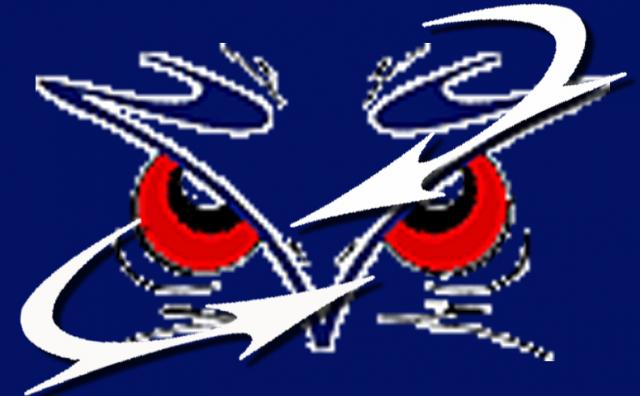 Photo hockey Le défenseur Braxenholm resigne - Ligue Magnus : Angers  (Les Ducs)