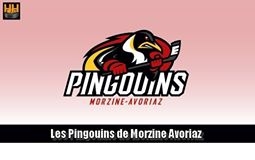 Photo hockey Le mag des Pingoins - A lire sans modération - Division 3 : Morzine-Avoriaz (Les Pingouins)