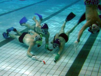 Photo hockey Le Sub-Hockey bientôt à la FFHG? - Autour du hockey