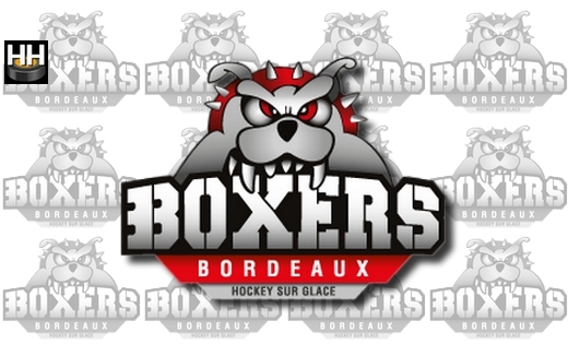 Photo hockey Les Boxers s’envolent pour le Quebec ! - Ligue Magnus