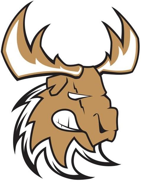 Photo hockey Les Caribous recrutent un entraîneur Mineur - Division 3 : Dammarie-les-Lys (Les Caribous)