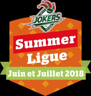 Photo hockey Les Jokers Lancent leur ligue d’été ! - Division 1 : Cergy-Pontoise (Les Jokers)