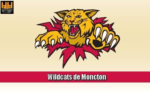 Photo hockey Les Sea Dogs blanchissent les Wildcats ! - LHJMQ - Ligue de Hockey Junior Majeur du Québec ARCHIVES